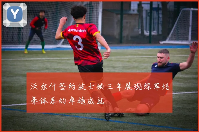 沃尔什签约波士顿三年展现绿军培养体系的卓越成就